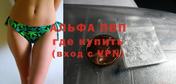 спиды Абаза