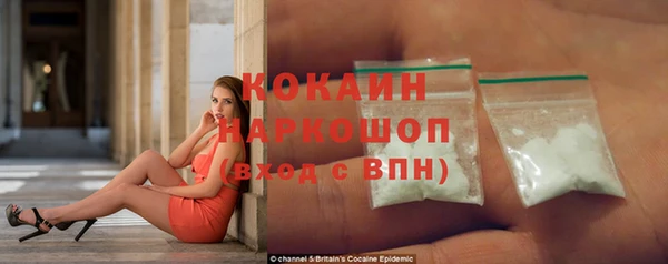 индика Алексеевка