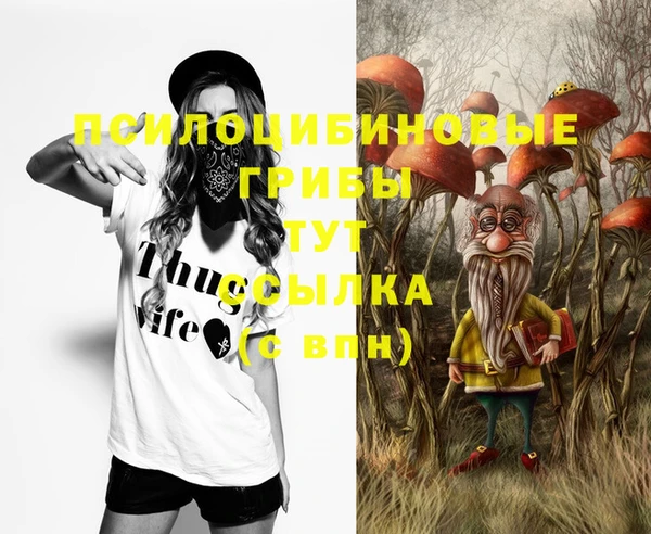 спиды Абаза