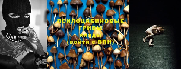 mix Абинск
