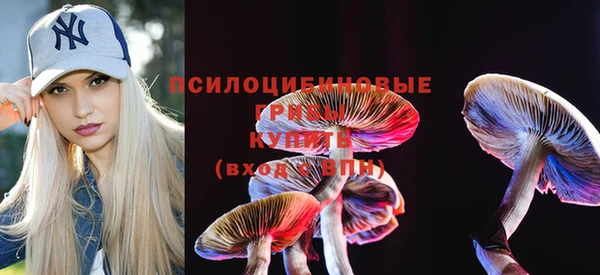 спиды Абаза