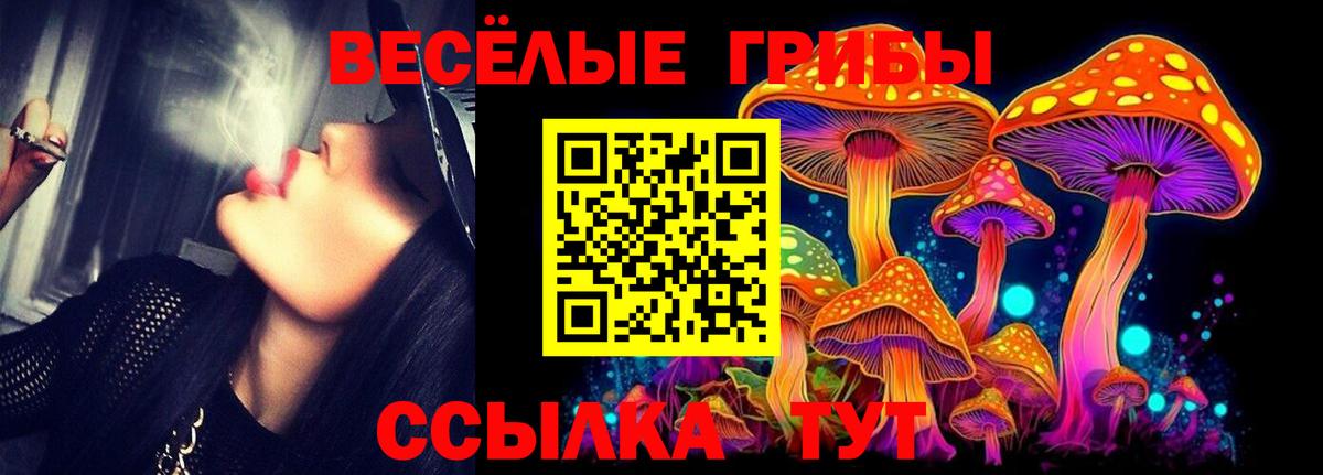 Киржач  Псилоцибиновые грибы прущие грибы  Вход с VPN 