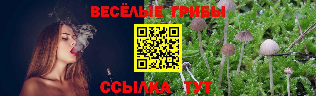 Галлюциногенные грибы Magic Shrooms Киржач